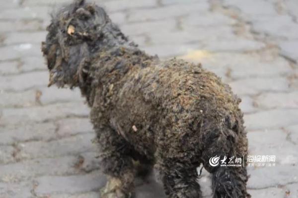 突發(fā)！青島一居民樓發(fā)生爆燃！已造1人死亡，7人受傷！3公里外有震感…