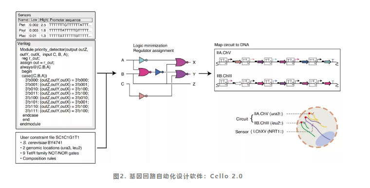 1598928810895993.png image.png