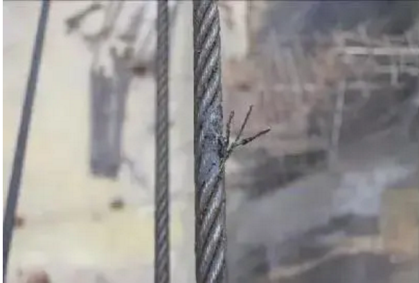 1609222971604394.png 圖片.png